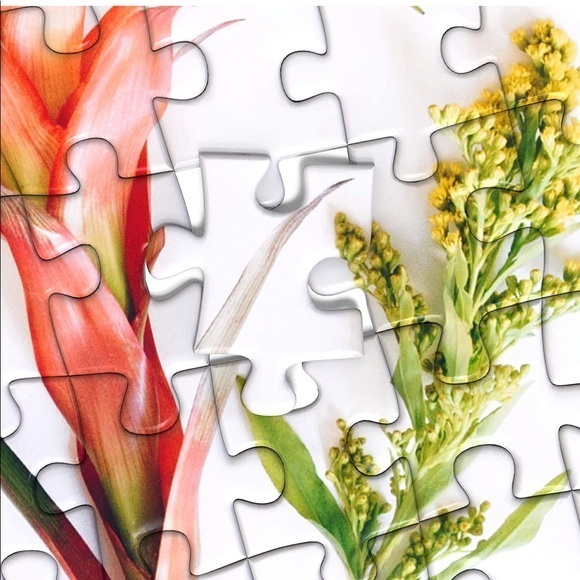 Bold Botanicals Puzzle 500 Pieces - Picture 2 of 8